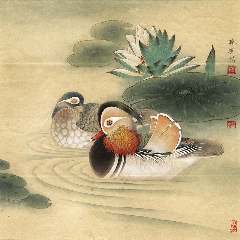 国画,近现代李晓明睡莲鸳鸯40x40cm